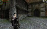 Witcher_2012-06-17_01-07-06-79